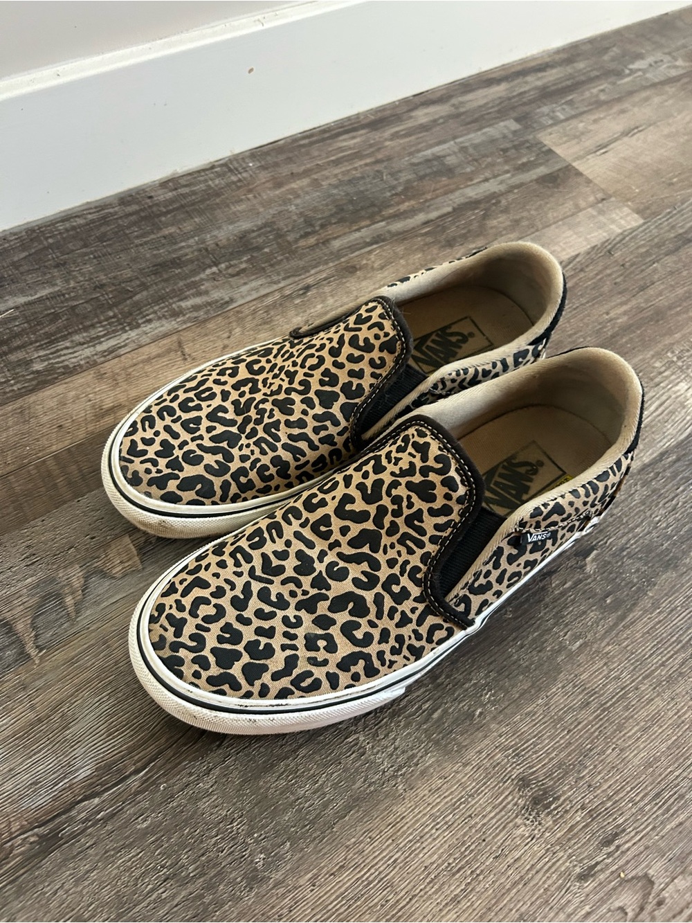 Cheetah vans